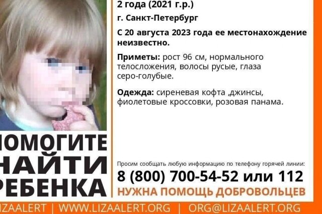    Фото:  Поисковый отряд "ЛизаАлерт" Питер