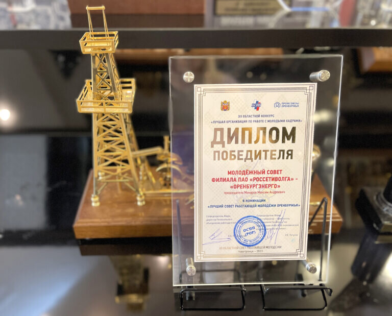    Совет молодежи «Оренбургэнерго» признан победителем регионального конкурса Марина Шарт