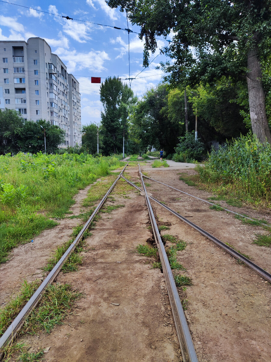 2023 год