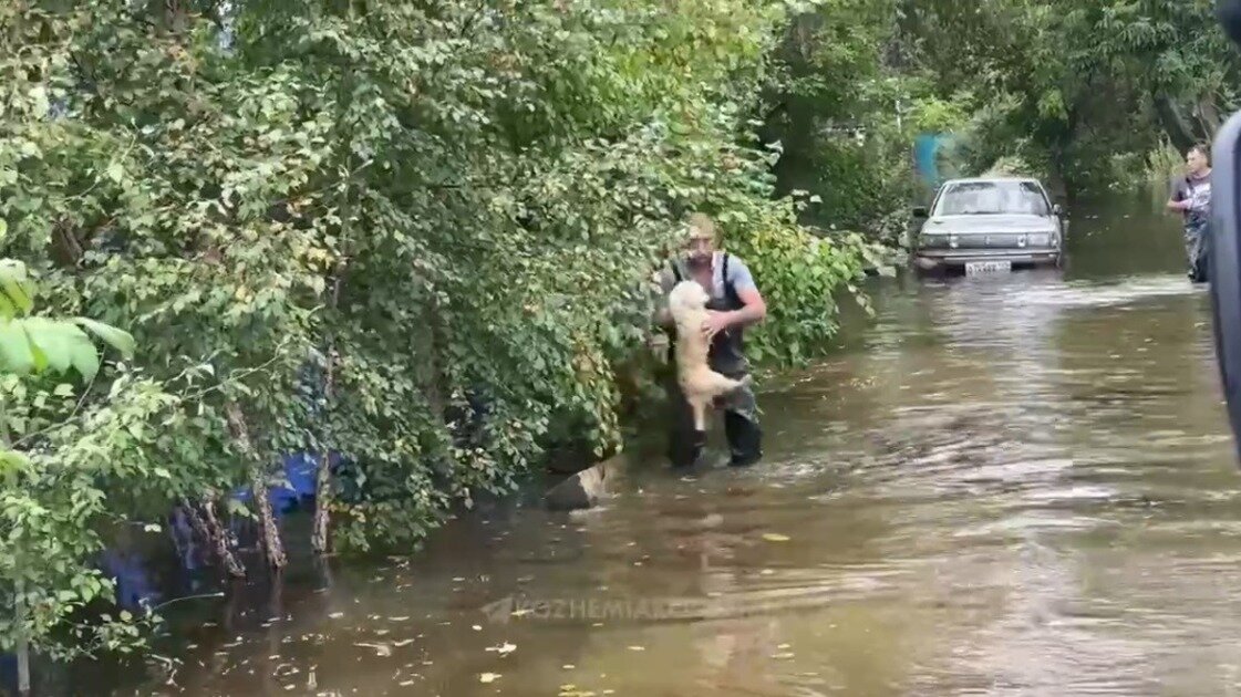     Олег Кожемяко приехал с рабочим визитом в Дальнереченск, где ещё с прошлой недели сохраняется сложная паводковая обстановка. Речь идёт о подтоплениях дорог и частых подворий.