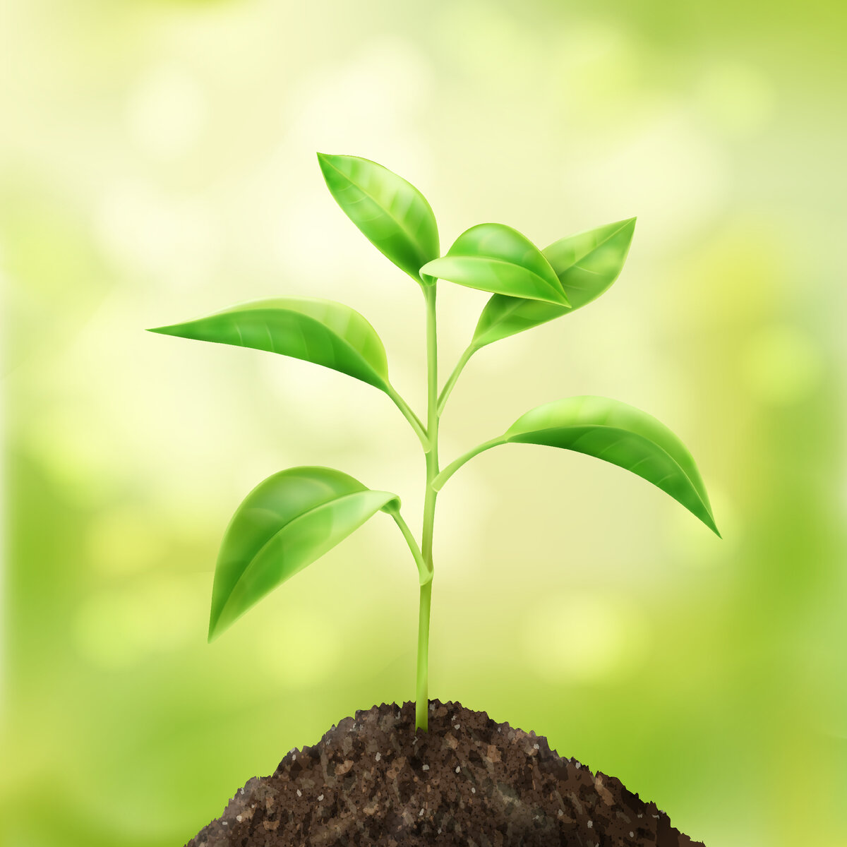 источник фото: <a href="https://ru.freepik.com/free-vector/vector-small-green-sprout-in-soil-with-bokeh-background_11061296.htm#query=%D1%80%D0%BE%D1%81%D1%82%D0%BE%D0%BA%20%D1%80%D0%B0%D1%81%D1%82%D0%B5%D0%BD%D0%B8%D1%8F&position=3&from_view=search&track=ais">Изображение от macrovector</a> на Freepik