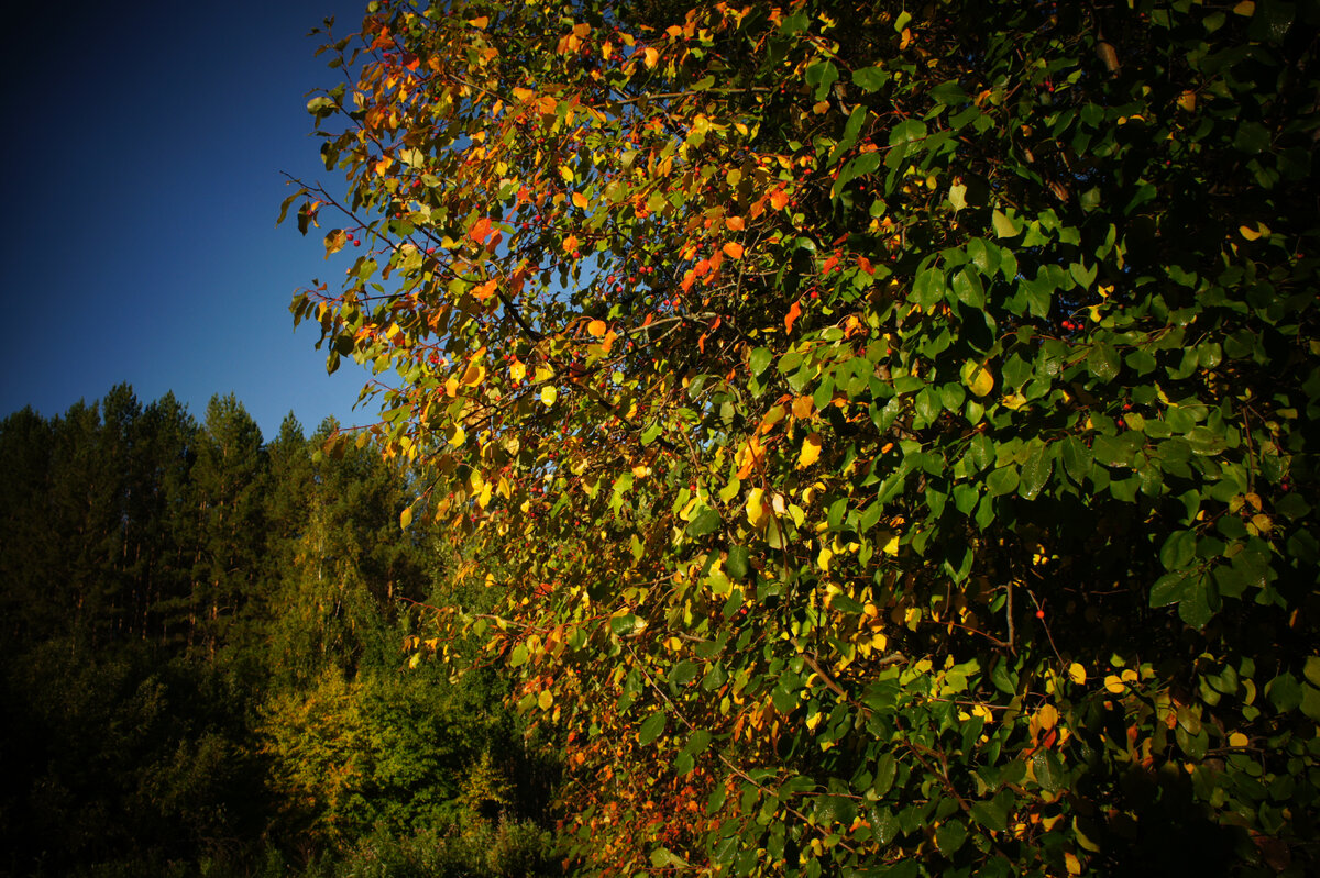 Хороших выходных. Мирного неба и всех благ.
