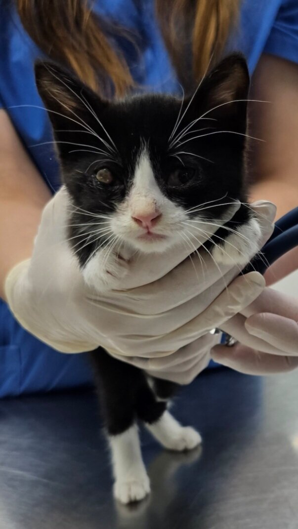 Фото автора. У врача на приёме.