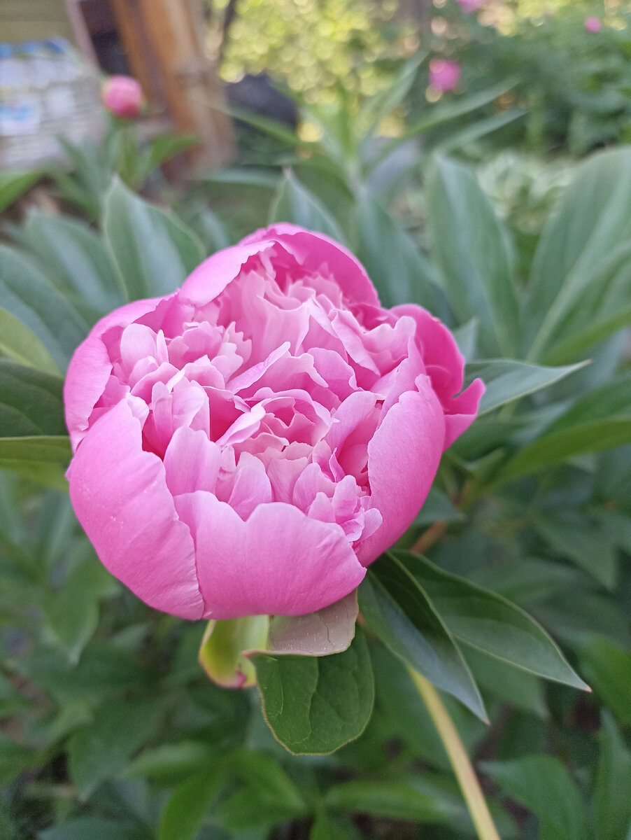 Фото из личного архива