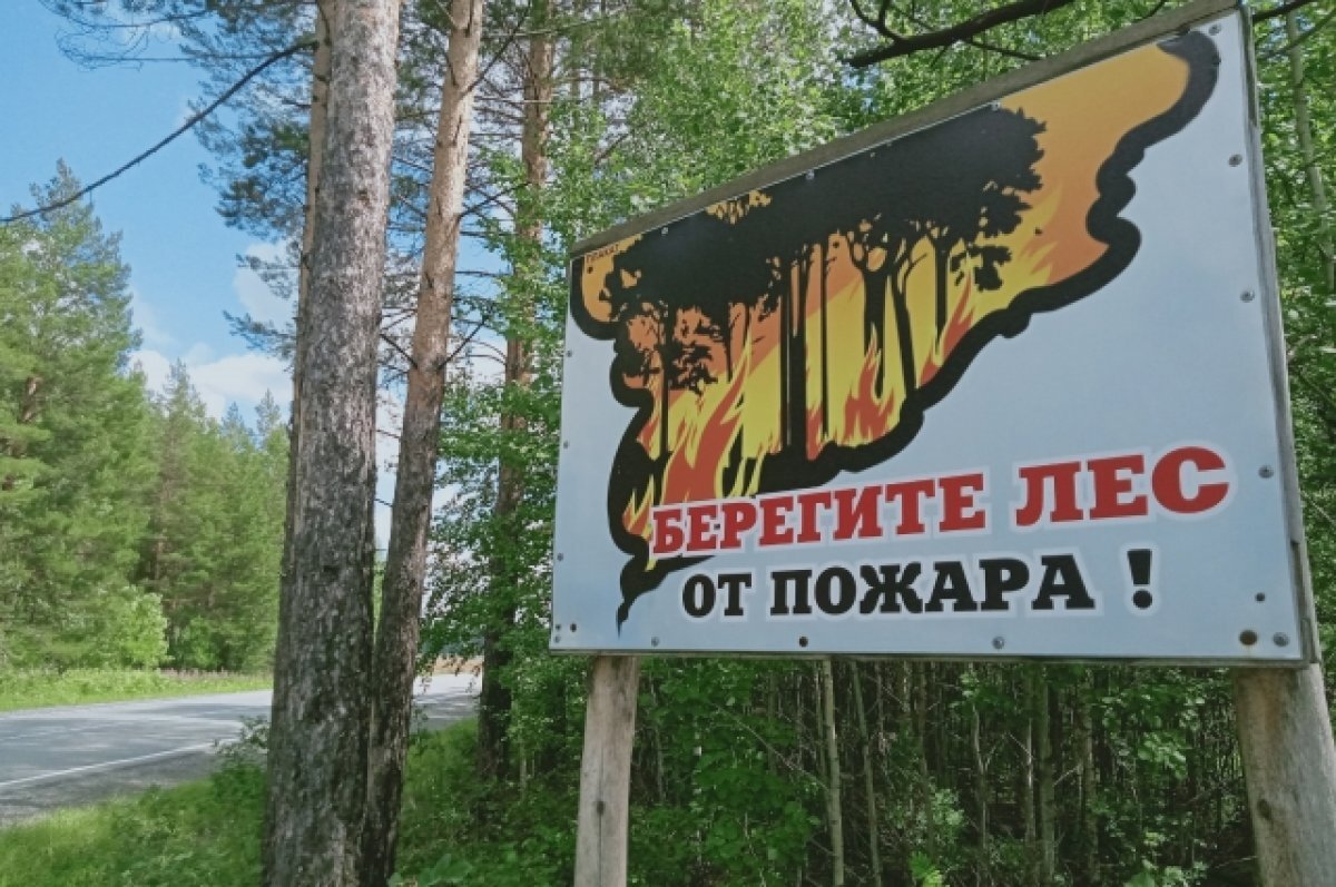   Губернатор Свердловской области отменил противопожарный режим