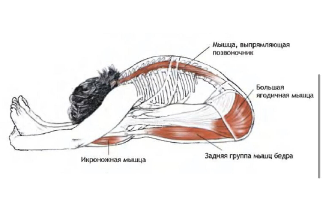 Лежит латерально