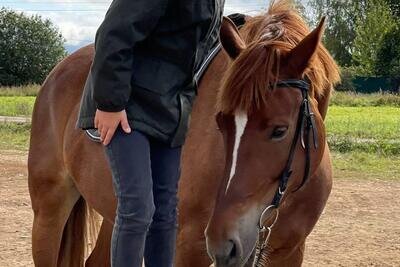    На сыроварне Олега Сироты в Истре проведут бесплатные занятия по верховой езде ©