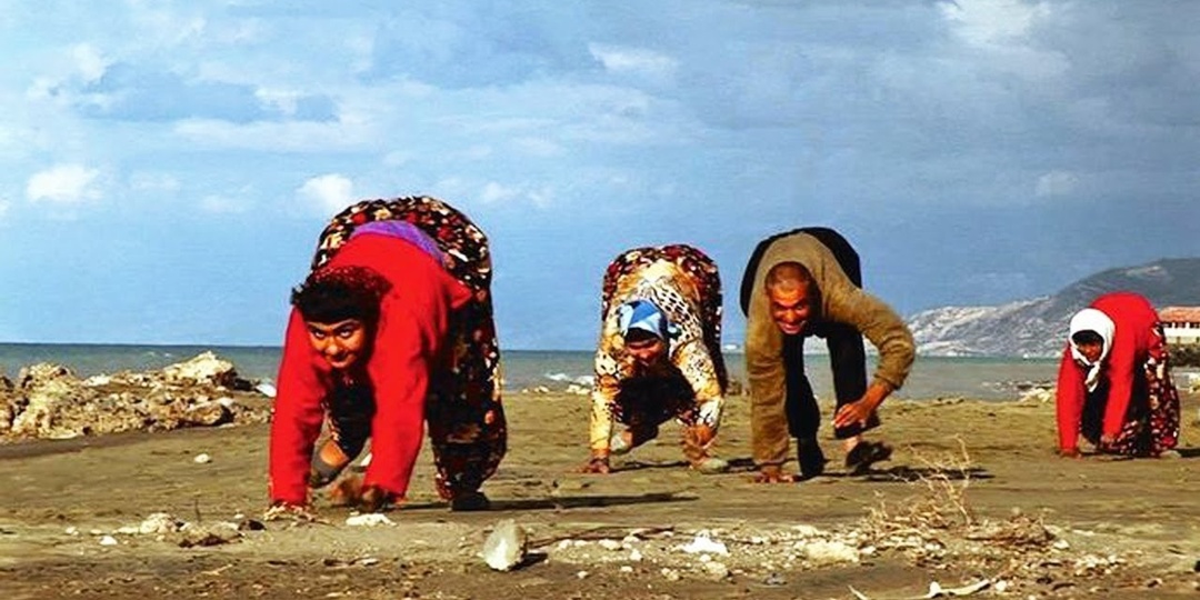 «Недостающее звено эволюции» или жертвы редкого заболевания: турецкая семья, которая всю жизнь ходит на четвереньках