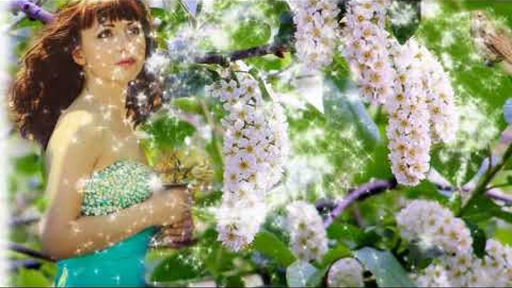    При исполнении на сцене автора песни не объявляли, потому что непринято было объявлять репрессированных писателей. Исполняли песню: Надежда Кадышева, актёр Александр Михайлов, но в сокращённом варианте. В данной статье исполняется примерный оригинал, взятый из википедии.