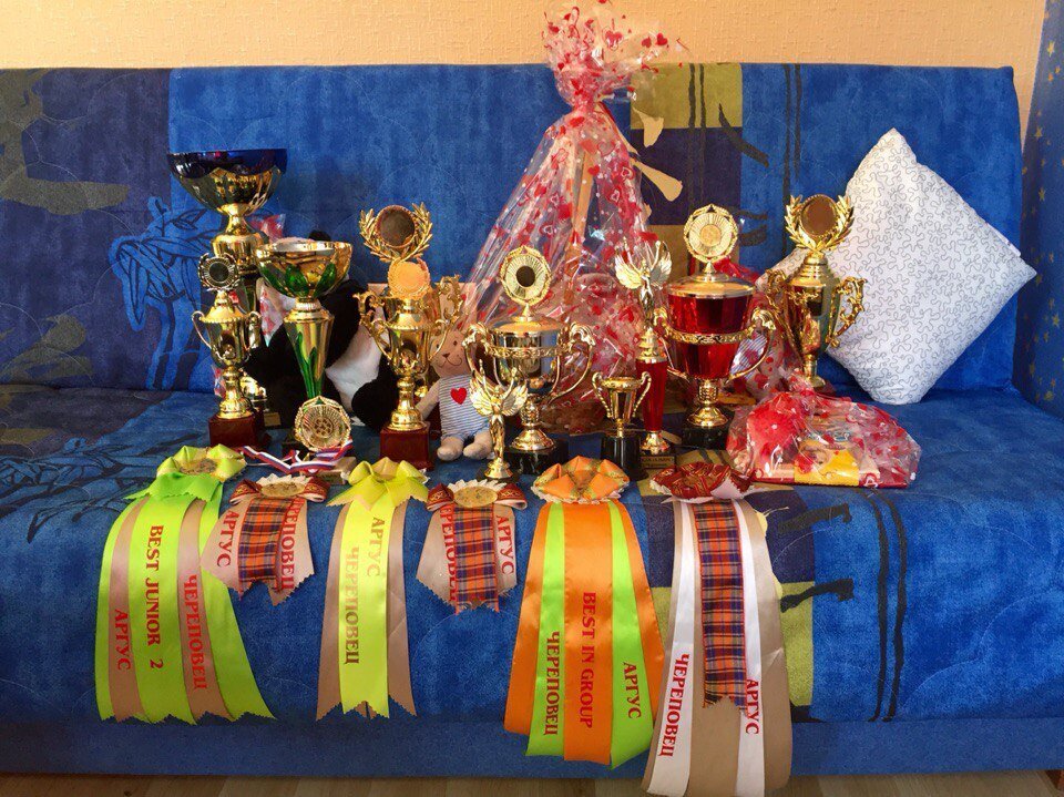 Наш "улов" на одной из выставок.