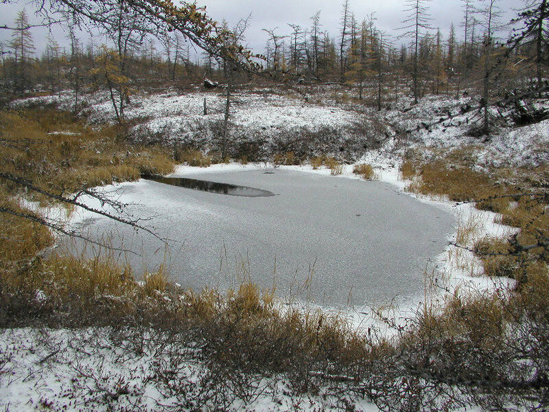 Осень на Таймыре.