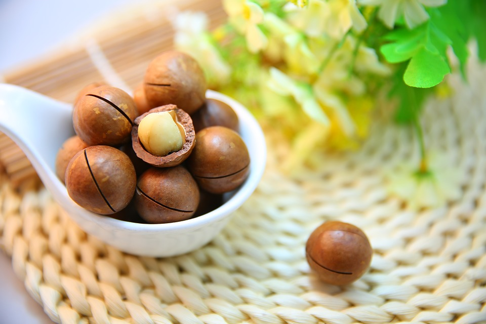 https://cdn.pixabay.com/photo/2015/12/18/02/54/macadamia-nuts-1098170_960_720.jpg