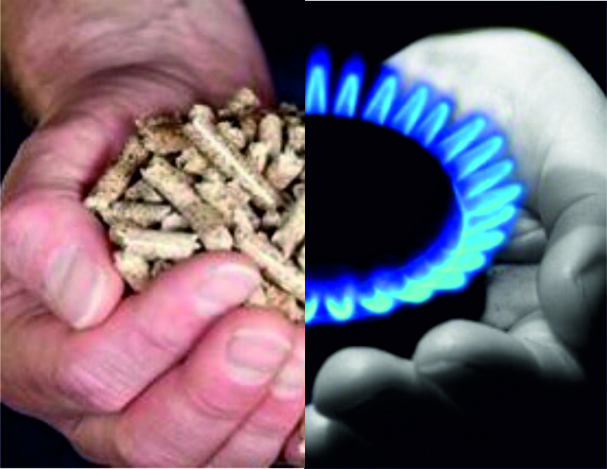 Пеллеты или сжиженный газ?