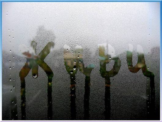 Фото с просторов интернета