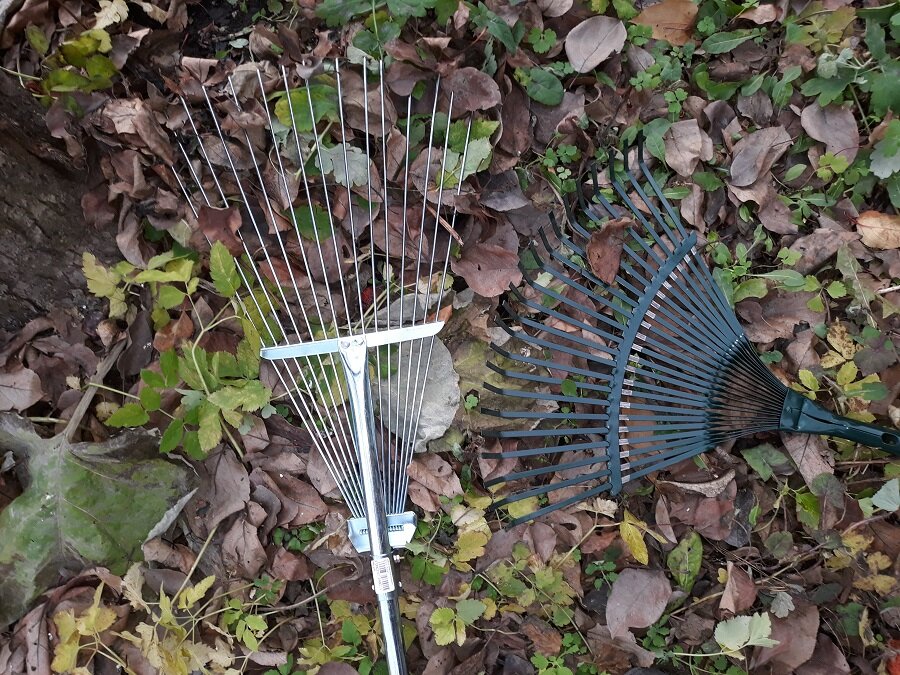 fan rake