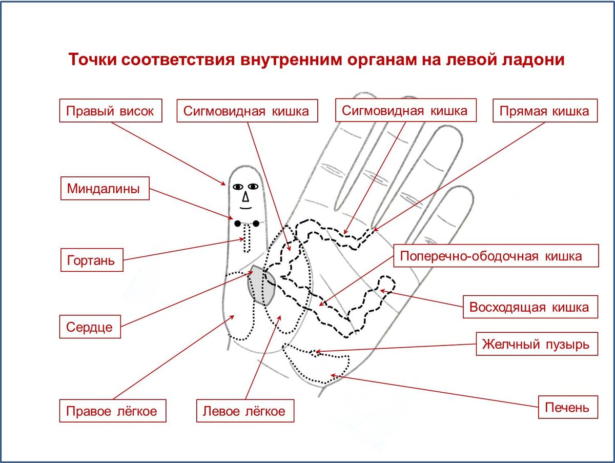 Лучшее средство от боли | ПозитивчиК | Дзен