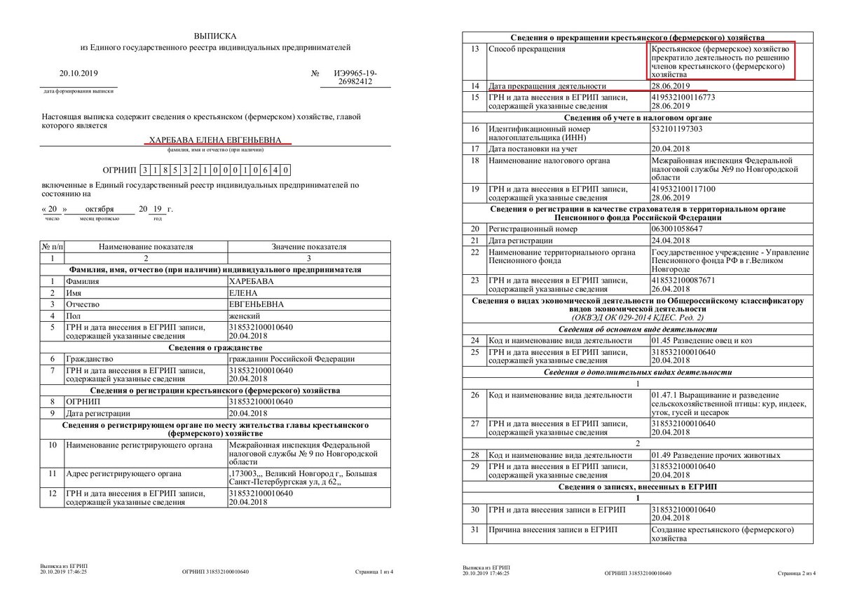 Выписка содержит информацию