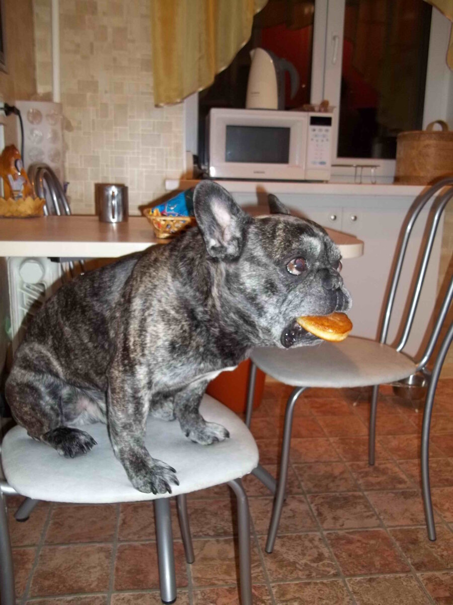 Оладух и оладушка