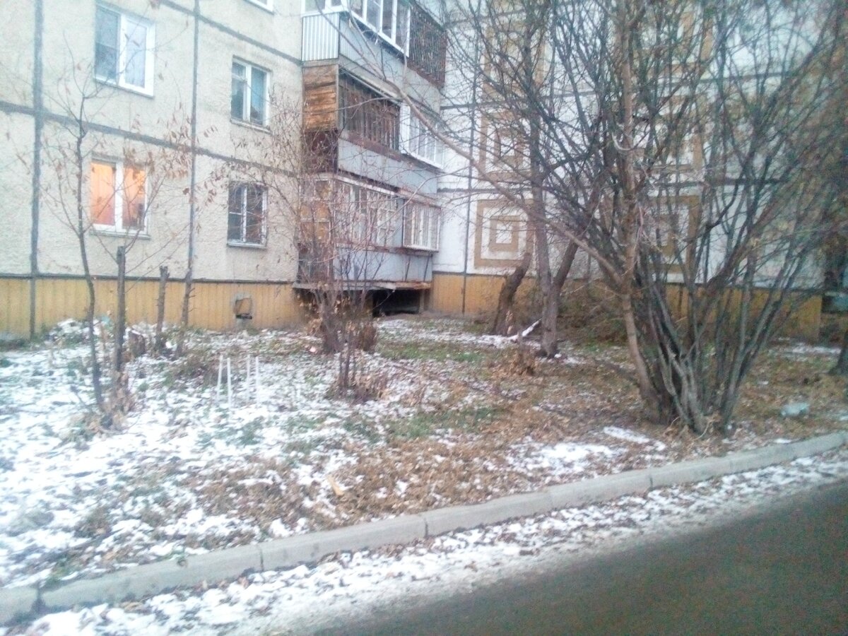 Фото свежее, тогда был бортик из снега вдоль бордюра