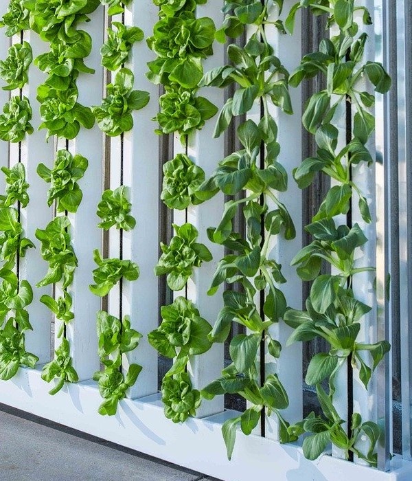 https://cdn.pixabay.com/photo/2015/09/01/01/18/vertical-farm-916337_960_720.jpg 