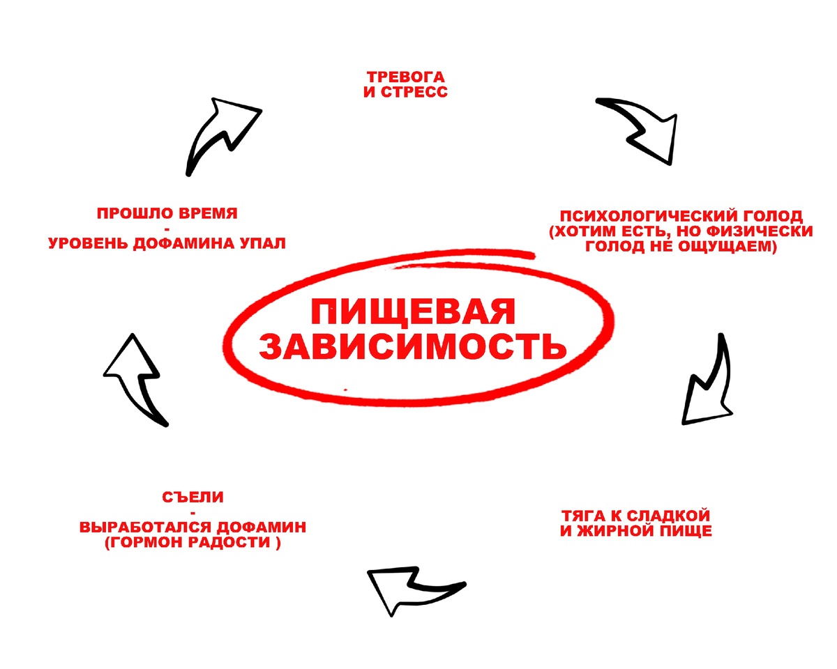 Схема возникновения пищевой зависимости