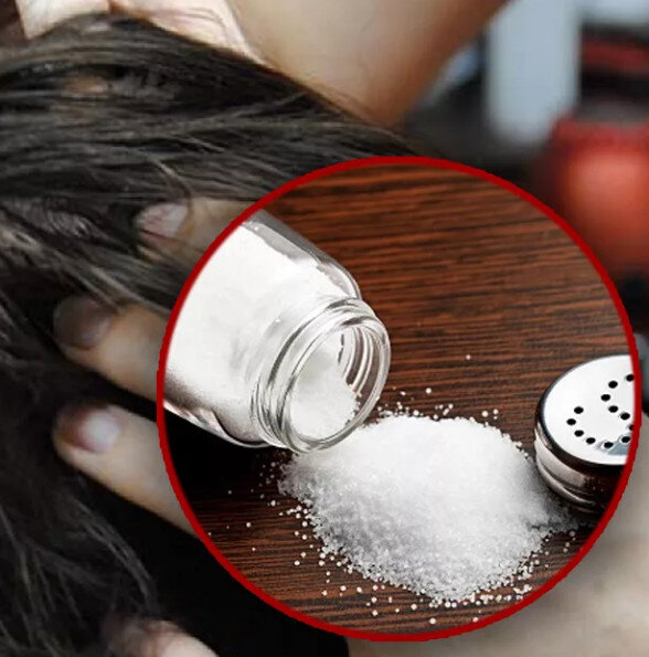 Фото с сайта anews.com