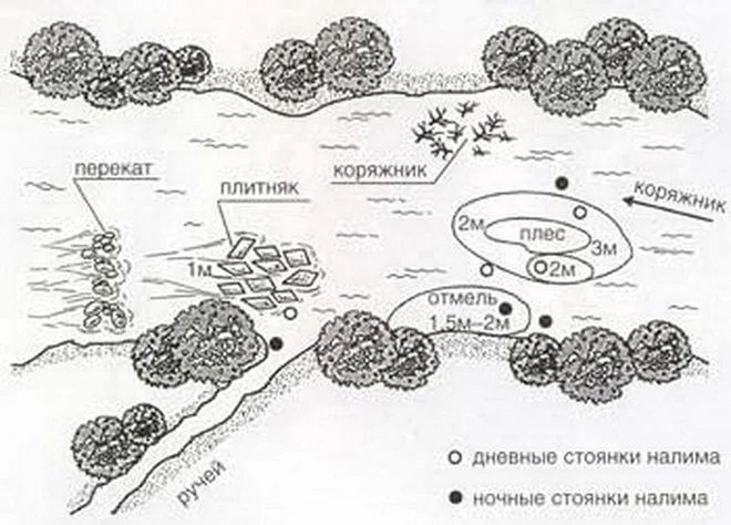 Зимние донки на налима — оснастка, наживки и особенности ловли