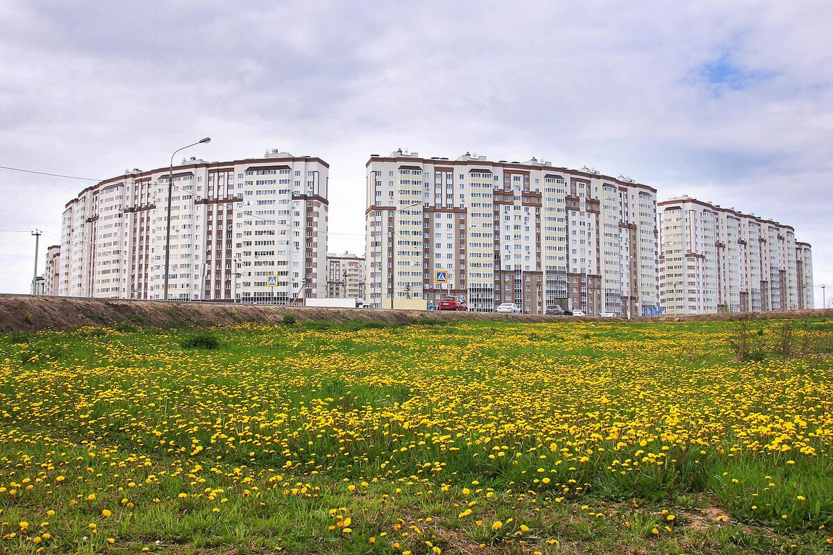 Вид с полей)