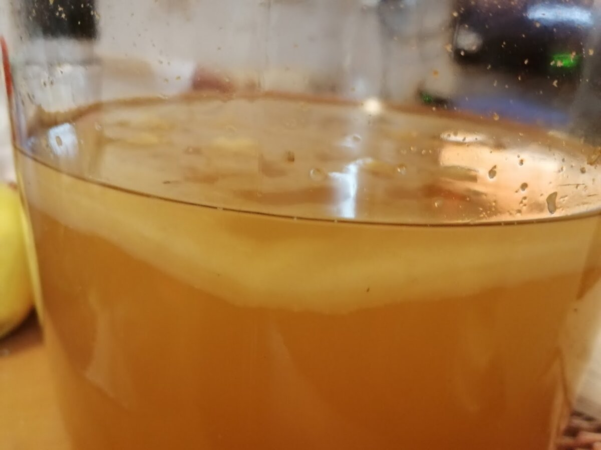 яблочный уксус и чайный гриб. Фото Света Давыдова