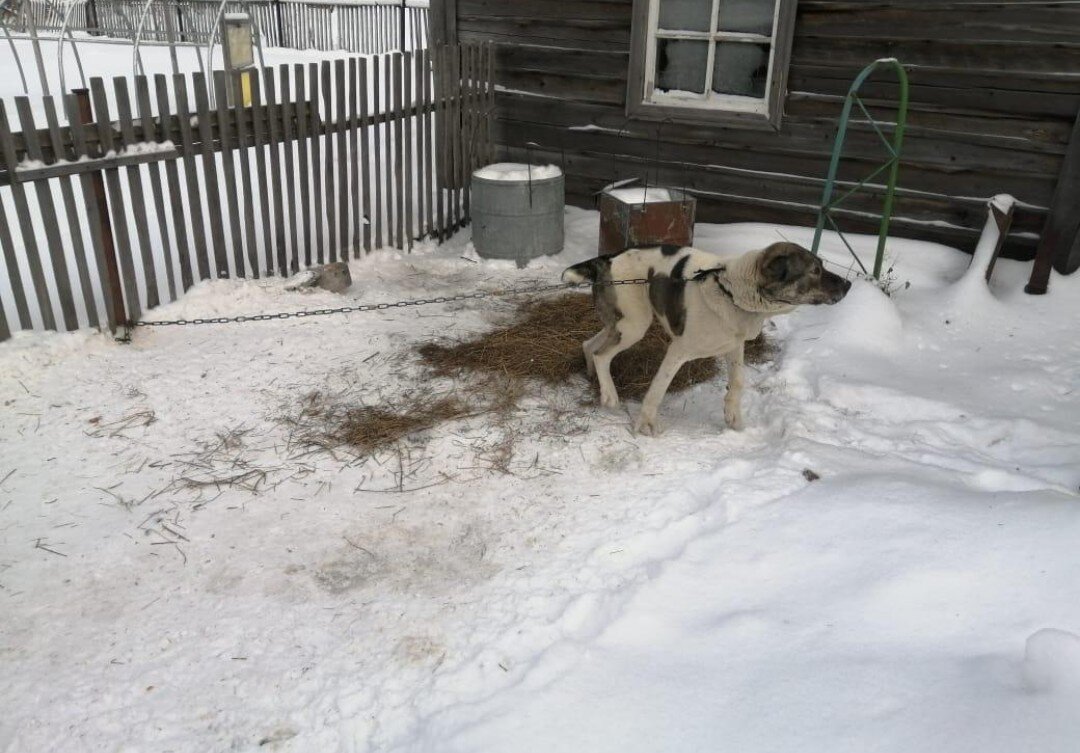 Место, где содержалась Маня