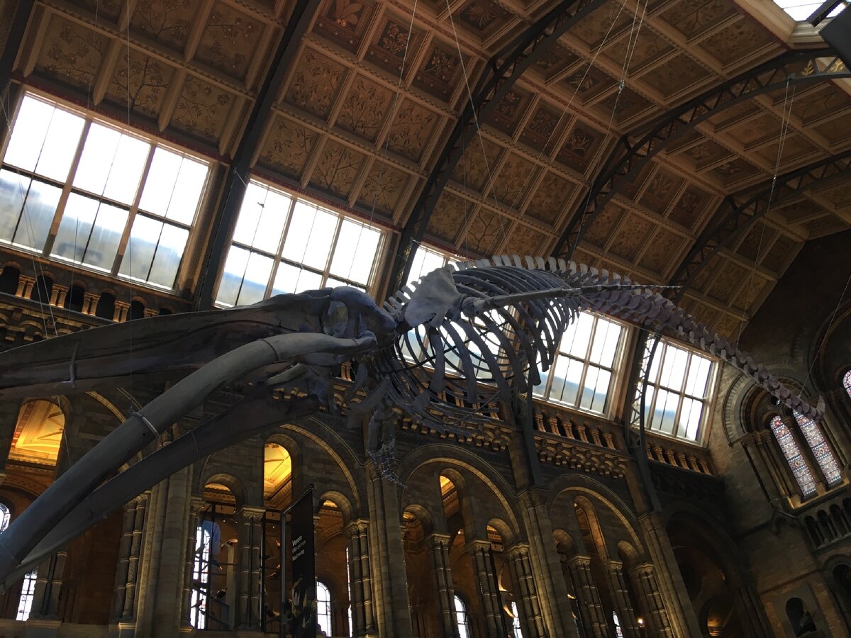 Личный архив