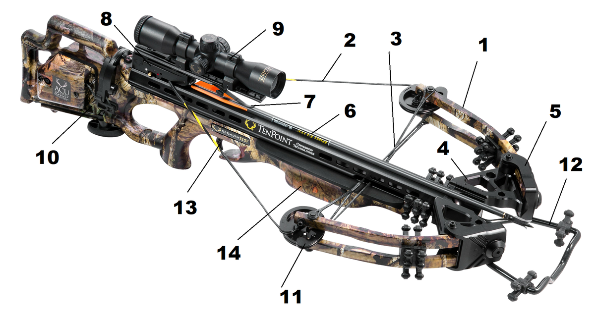 Строение арбалета на примере блочного арбалета фирмы TenPoint
