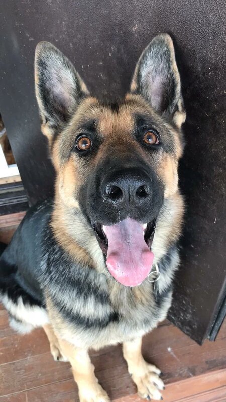 Паллада на передержке.