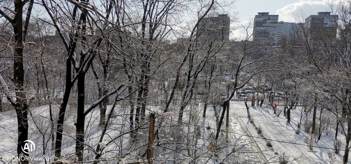 Снег во Владивостоке, фото со смартфона
