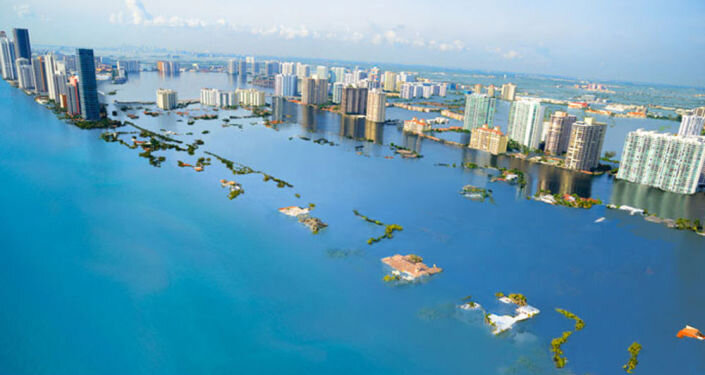 Яндекс.картинки