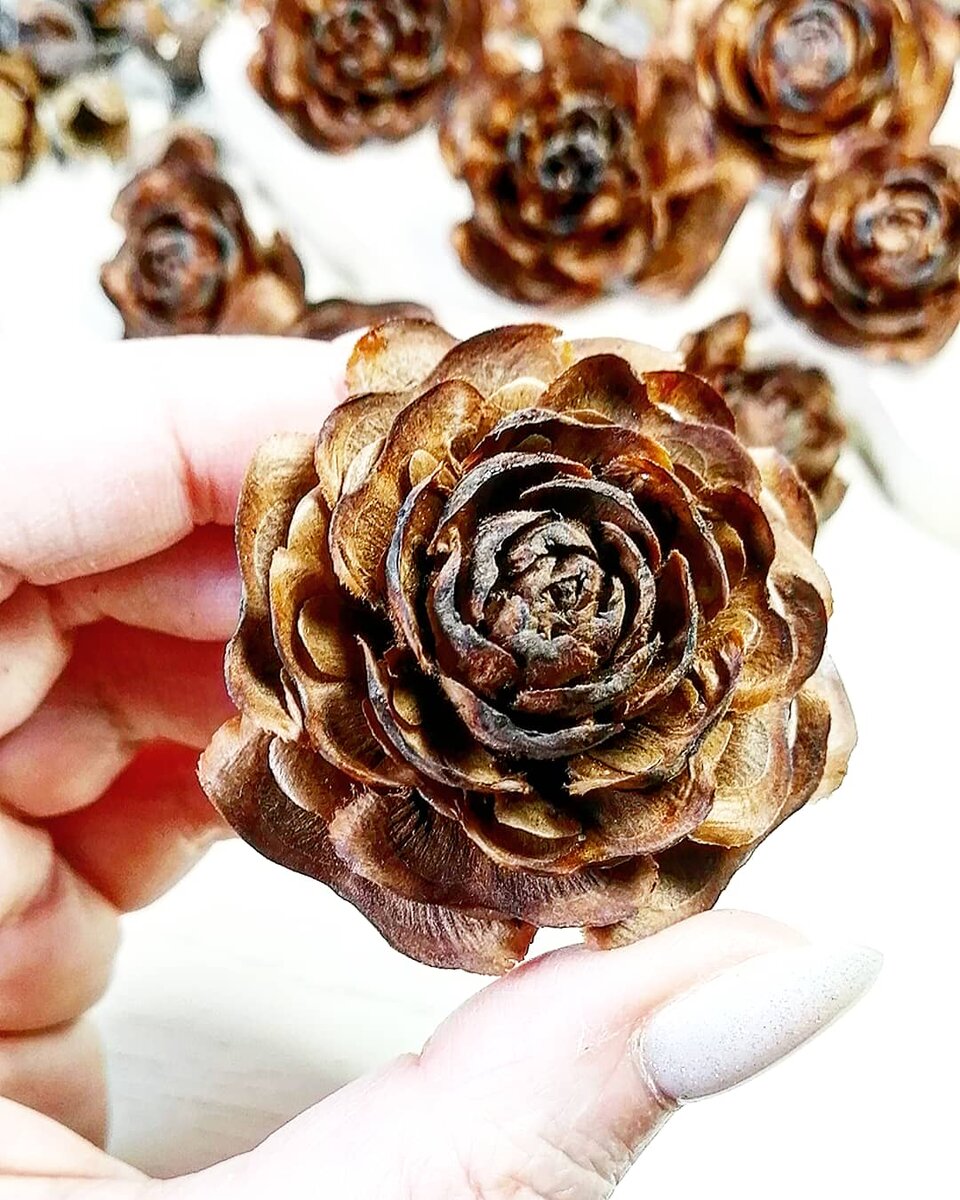 КЕДР гималайский