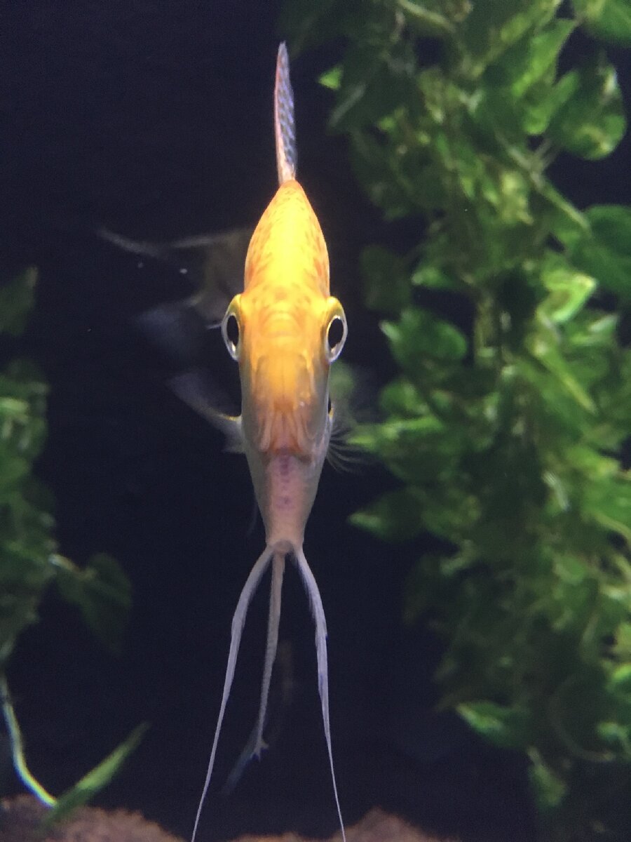 Даже ради этого стоит сходить 