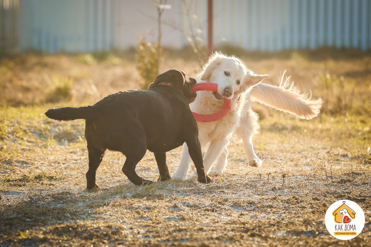 Офелия и Эмили делают утреннюю зарядку