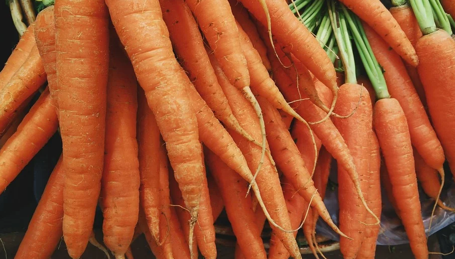 картинка с https://pixabay.com 