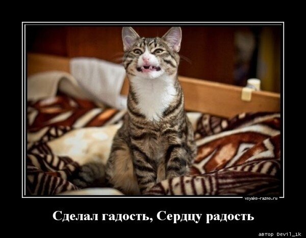 Взято на Яндекс Картинках.