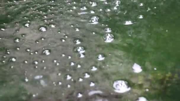 Примерно такие пузырьки будут видны на воде 