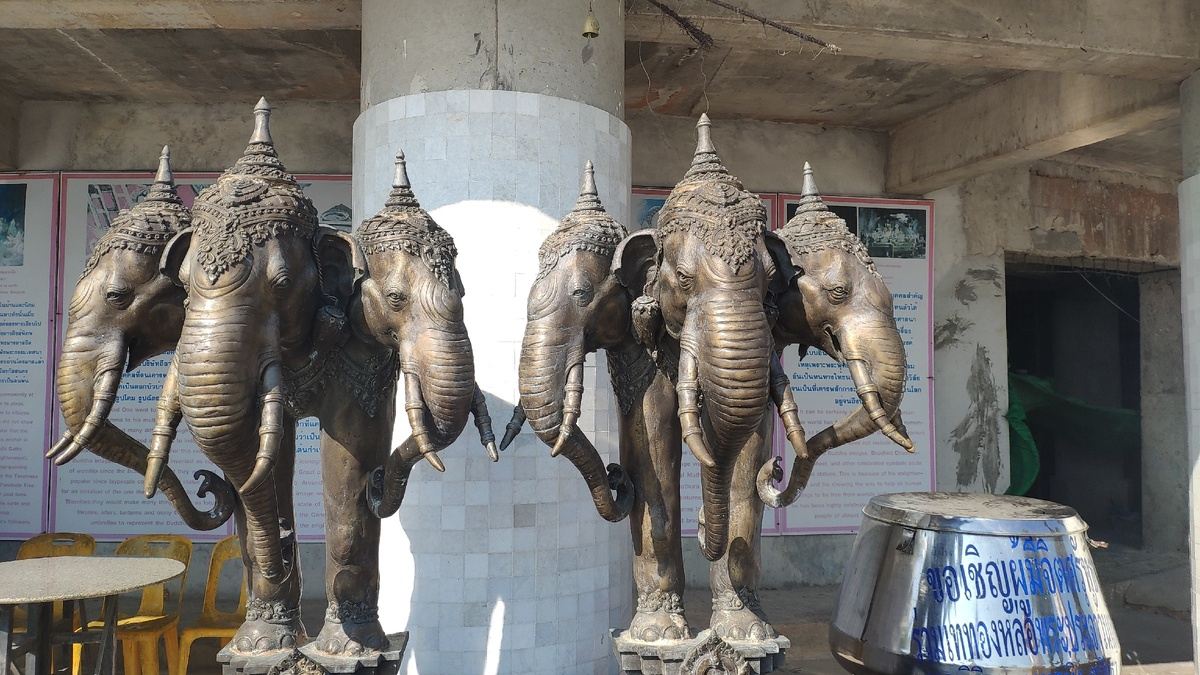 Эти фотографии были сделаны в январе 2020 года, на острове Пхукет.