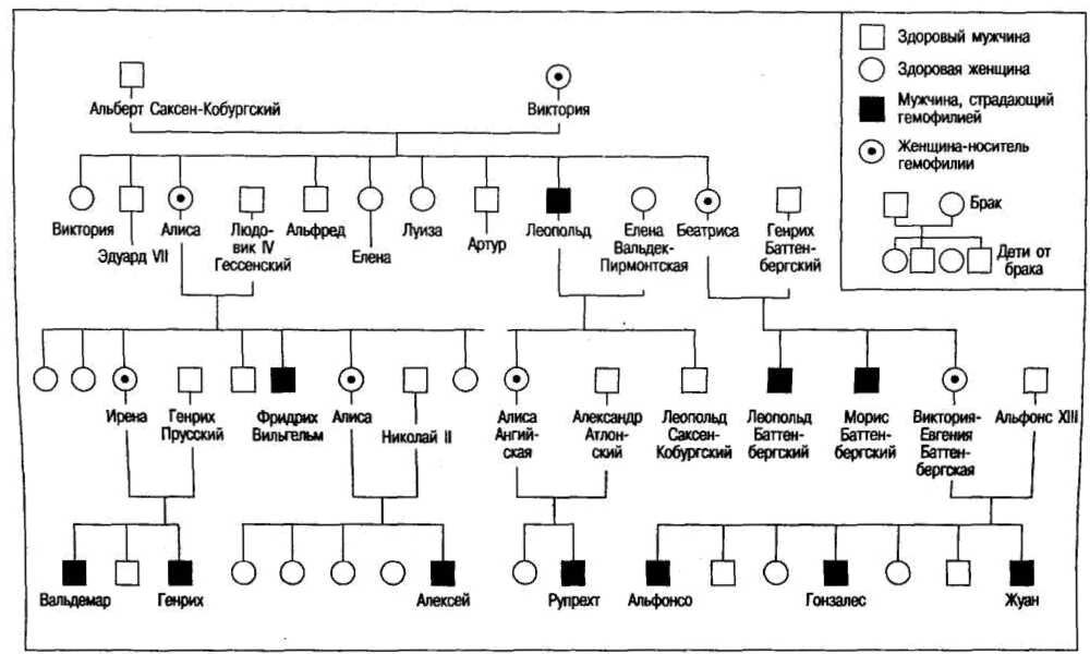 Наследование гемофилии среди потомства королевы Виктории