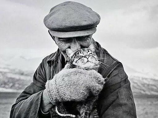 Фото из свободных источников