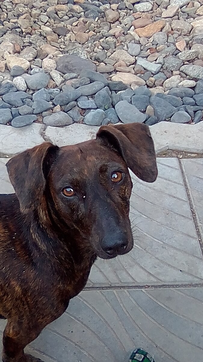 Наша Аделина