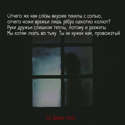 #стихи #поэзия #современная поэзия #дарьясоль #поэты 