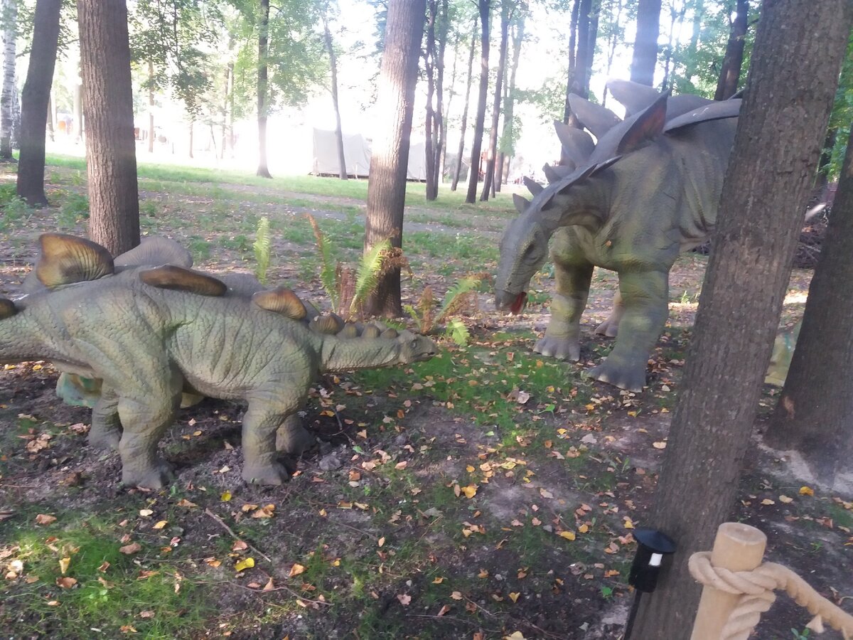 Парк динозавров в Ярославле .