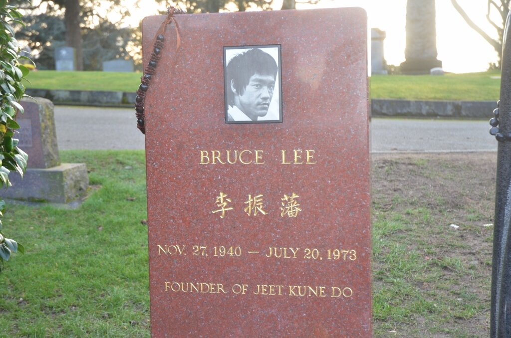 Фото Яндекс. Картинки