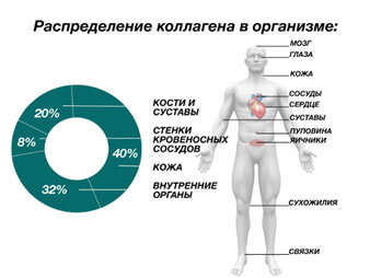  Ранозаживляющее действие 