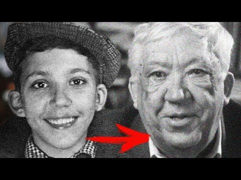 Из Вовочки в мэтра советского кино. Источник: Яндекс.картинки